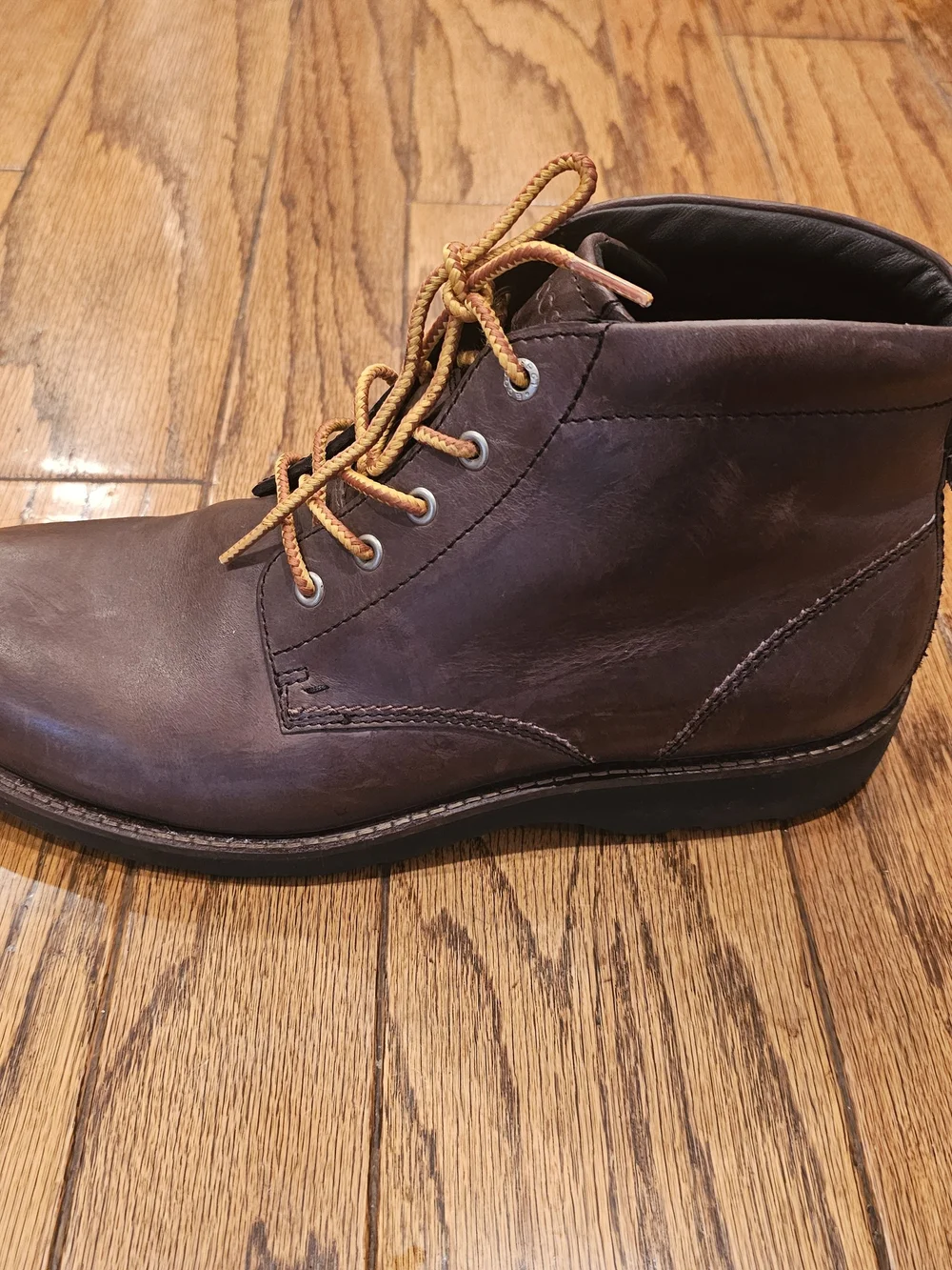 Ecco these chukka